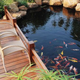 koi pond with deck