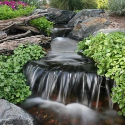 waterfall aeration and aquatic plant filtration