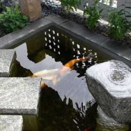 formal Koi pond