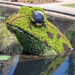 kiss a frog topiary