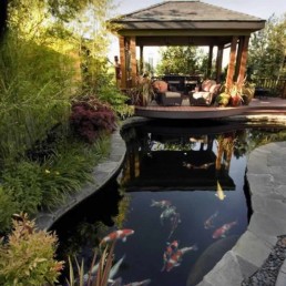 Koi pond + decking + pergola