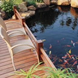 Koi pond + decking