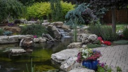 natural pond and planting services