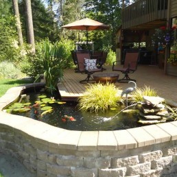 Raised Koi pond + timber decking