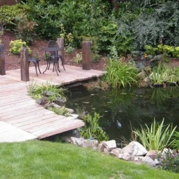Timber decking + natural pond