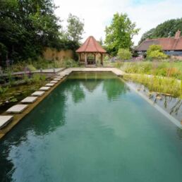 swimming pond